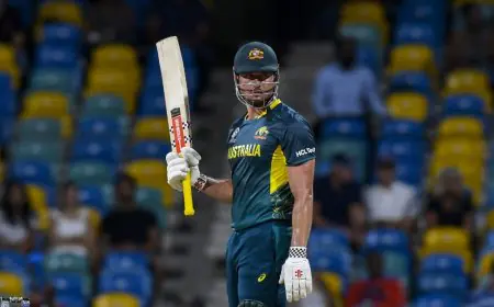 Aus Great Slams Marcus Stoinis For Shock ODI Retirement: Says "Planning..."