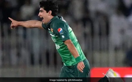 Tri-Series ODI Final LIVE: 3-Down NZ Cruise In 243-Run Chase vs Pak