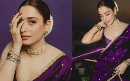 Want A Regal Saree Look? Take Notes From Tamannaah Bhatia