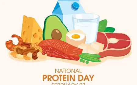 Healthy Snack Options for 40+ Packed with Protein