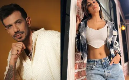 Chahal, Dhanashree Divorced. Report Reveals 'Reason' They Cited In Court