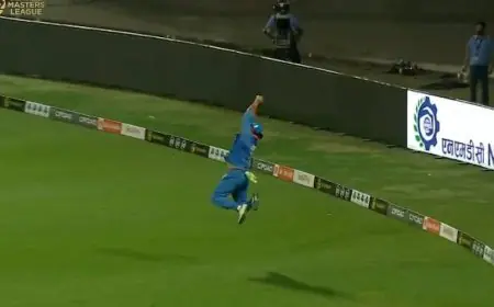 Watch: Yuvraj, Aged 43, Takes Stunner. Don't Miss Sara Tendulkar's Reaction