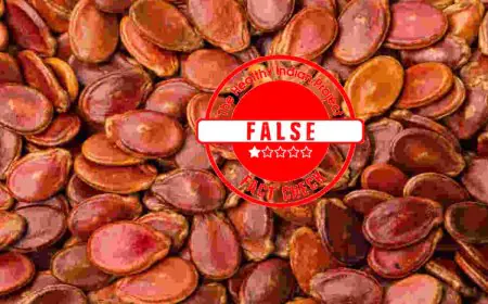 Fact Check: Can Watermelon Seeds Cure Cancer?