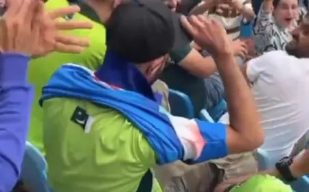 Viral: Pakistan Fan Switches To India Jersey As Rizwan And Co Suffer Loss