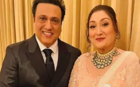 What Is Grey Divorce? Understanding The Trend Amid Buzz Around Govinda, Sunita Ahuja Ending 37-Year Marriage