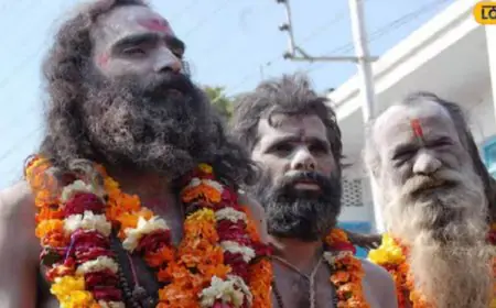 Mahashivratri 2025: Why Do Sadhus Apply Ash On Their Body?
