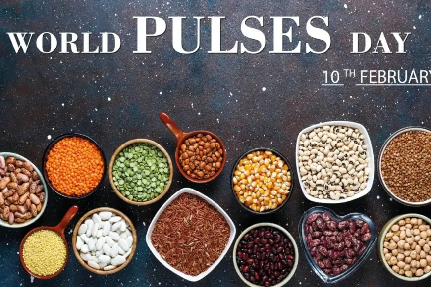 World Pulses Day 2025: History, Significance, Celebrations And Key Facts
