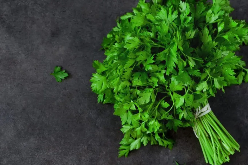 Parsley Vs Cilantro: How To Choose The Right Herb For Your Dish