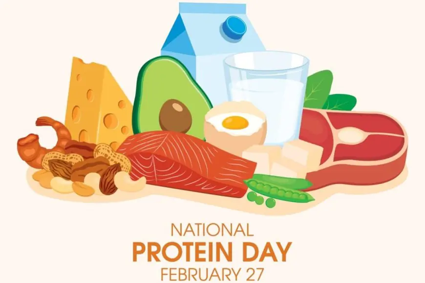 Healthy Snack Options for 40+ Packed with Protein
