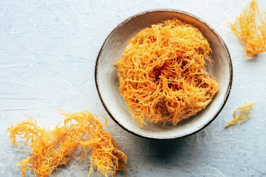 Is Sea Moss The New Wellness Trend? Here's What You Need To Know