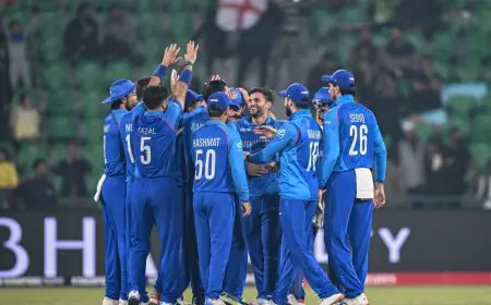 Afghanistan Could Win An ICC Tournament In Next Decade: Dale Steyn