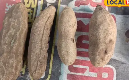 This Wild Vegetable Is A Boon For Those With Kidney Stones And Stomach Ailments, Know Its Cost