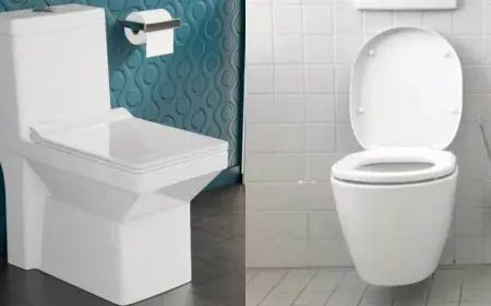 Do You Know Why Toilet Seats Are Mostly White? Here’s the Reason