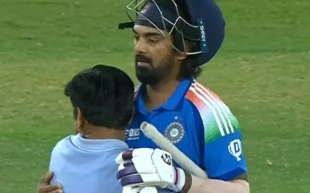 Watch: Fan Invades Pitch To Hug Rahul After Win vs Aus. Video Goes Viral
