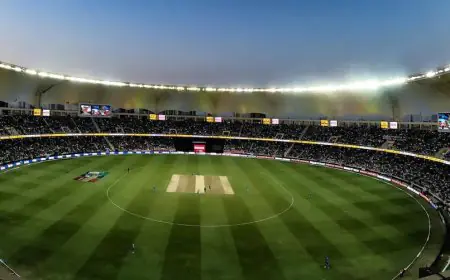 India vs New Zealand Final Pitch Selected. Here's Its Pakistan Connection