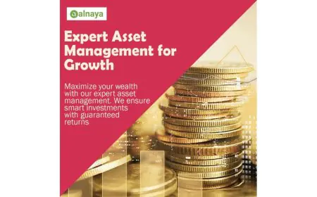 Alnaya CSP LLC Review: Investment, Contact Center and Real Estate