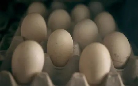 Regular Egg Consumption Linked to Lower Risk of Cardiovascular Death