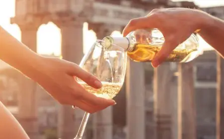 Vinitaly Debuts in India: A Celebration of Italian Wine, Culture, and Heritage