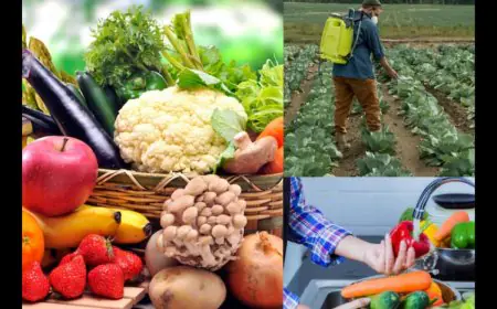 Dirty Dozen: These 12 Fruits & Veggies Have The Most Pesticides; Here’s How To Clean Them