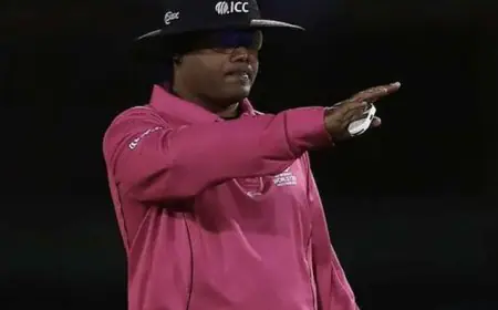 ICC Retains Nitin In Elite Panel Of Umpires, Jayaraman Promoted To Emerging Panel