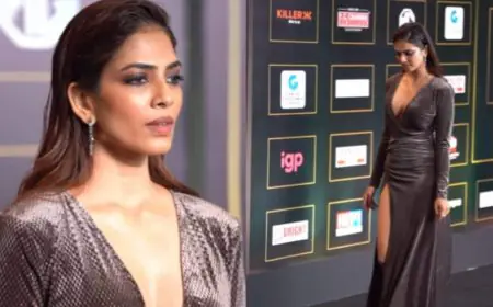 Malavika Mohanan Makes A Daring Statement In A Dark Taupe Gown With A Thigh-High Slit