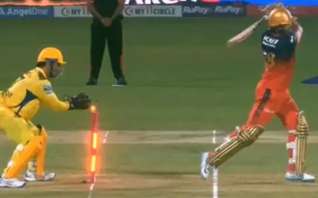 Dhoni Does It Again, Leaves Everyone Stunned With Brilliant Stumping - Watch
