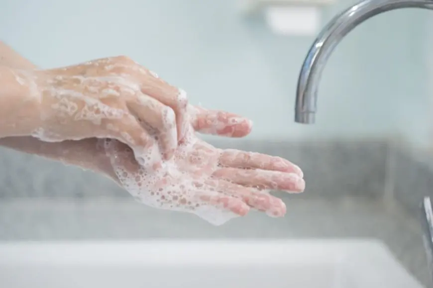 The Importance of Hand Hygiene: Cleaner Hands and Better Health