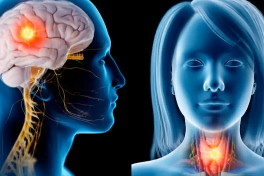 Don't Ignore These Signs Of Head And Neck Cancer