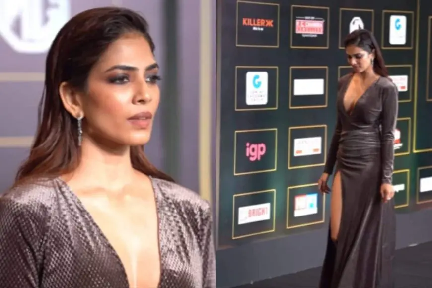 Malavika Mohanan Makes A Daring Statement In A Dark Taupe Gown With A Thigh-High Slit