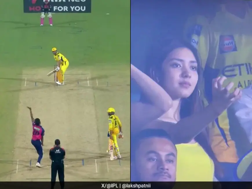 Watch: CSK Fangirl's Reaction To Dhoni's Dismissal Takes Internet By Storm