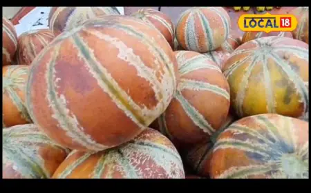 Confused About How To Choose A Sweet And Pulpy Muskmelon? Here's A Quick Guide