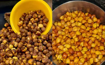 Roasted vs Soaked Chana: Which Is Better And How Much To Consume Daily?
