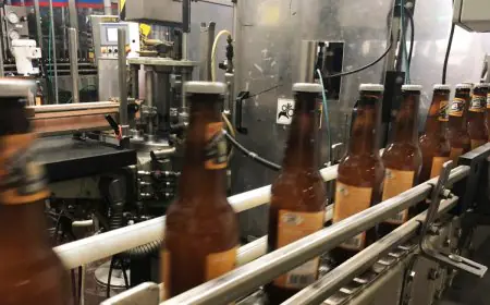 The Science Behind Strong Beer: What Makes It Different from Regular Brews?