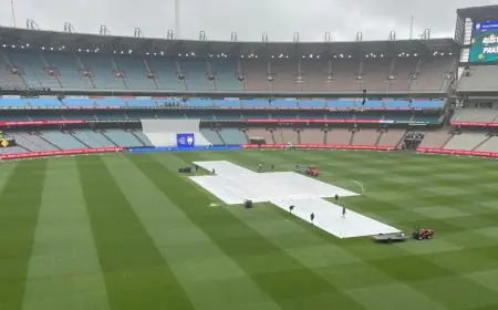 Security Breakdown At MCG, Two Men Arrested For Smuggling Guns And Bullets