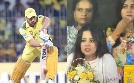 'Last Match': Amid Dhoni Retirement Rumour, Speculation On Sakshi Video