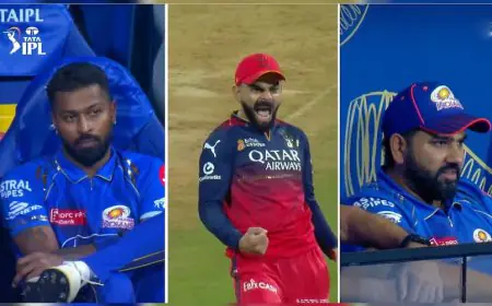 Kohli's Wild Celebration On RCB Win. Don't Miss Hardik, Rohit's Reaction