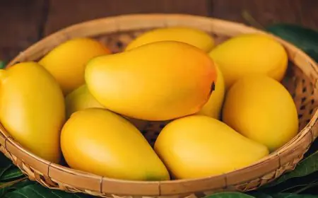 How To Spot Real Or Fake Alphonso Mangoes: Here Are Some Tips