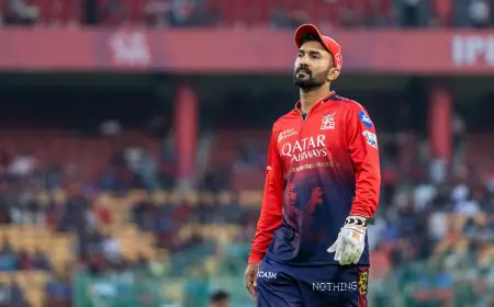 "Asked Curator For...": Dinesh Karthik Adds Fuel To IPL Pitch Controversy