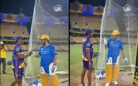 "Traitor Is Here": Dhoni's Remarks On Meeting Bravo Sets Internet On Fire