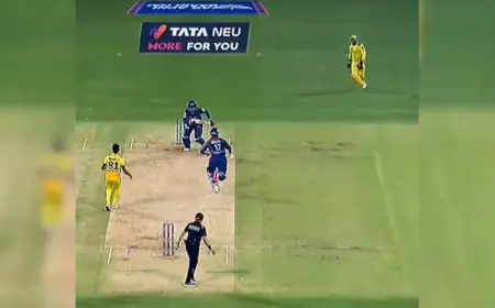 MS Dhoni's Run-Out Against LSG Called 'Tukka'. Ex CSK Star Says "I've Also Worn Gloves"