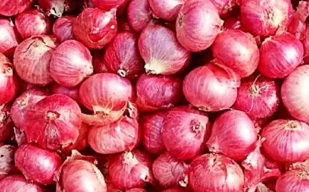 Here’s Why People Carry Onions In Their Pockets In The Scorching Indian Summer