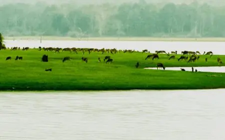 Looking For A Quick Escape? 10 Perfect Weekend Escapes Near Bengaluru