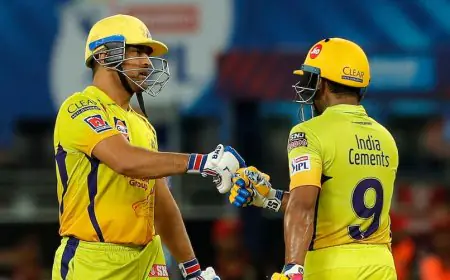 IPL 2025: Ambati Rayudu Gives Up On CSK, Drops Blunt "Even MS Dhoni" Remark