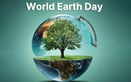 Sustainability is the New Standard: How Fashion and Jewelry Brands Are Shaping a Greener Future