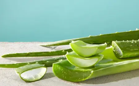 What to Eat (and Avoid) to Beat the Summer Heat