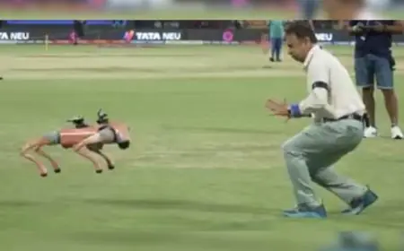 Watch: After MS Dhoni And Hardik Pandya, Now Sunil Gavaskar Plays Around With Robot Dog Champak