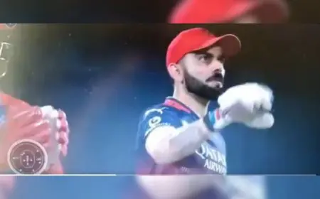 Watch: Virat Kohli Catches Throw While Batting, Kuldeep Yadav's 'Obstruction' Appeal Wins Internet