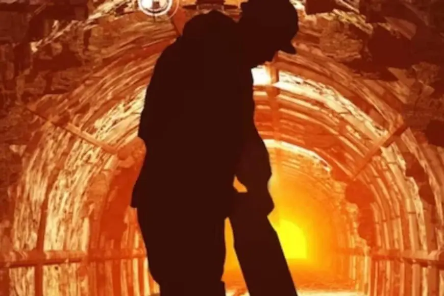International Day For Mine Awareness And Assistance In Mine Action 2025: All You Need To Know