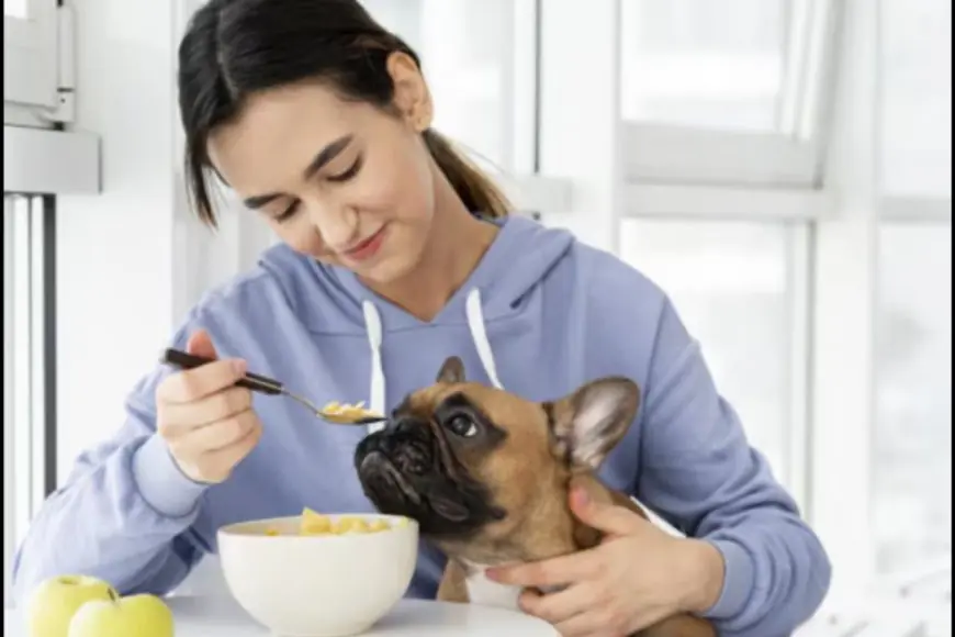 World Pet Day 2025: 4 Everyday Waste Habits That Could Be Harming Our Streeties