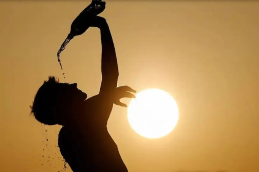 Feeling the Heat? Here’s How to Stay Safe During a Heatwave